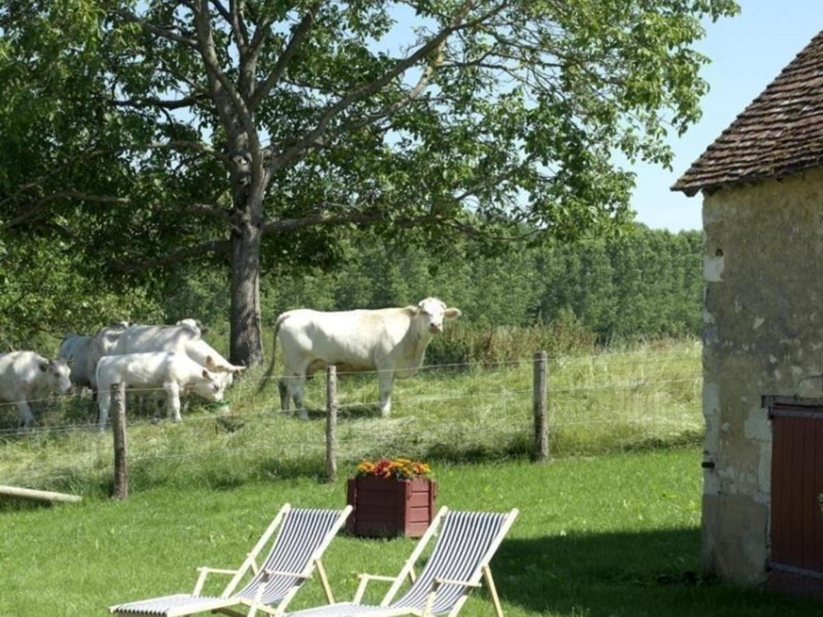 Gite Authentique Au Coeur Du Perche, 18Eme Siecle, Cheminee, Jardin Clos, Animaux Acceptes, Wifi Inclus. - Fr-1-497-49 Pervencheres 외부 사진